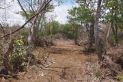 For sale two lots of land in the booming northern region of the island in Mont Mascal.