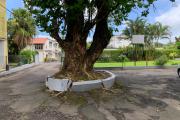 Curepipe for rent a pleasant apartment in a small, quiet condominium close to all amenities.