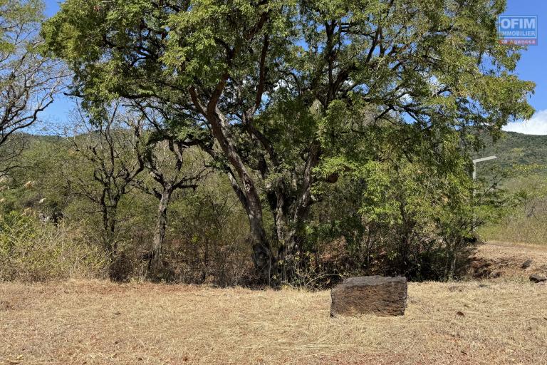 Riviere Noire à vendre Terrain de 2115M2 ou 556 toises situé dans le morcellement sécurisé Palmyre.